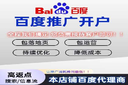 成本效益分析：百度推广月费案例